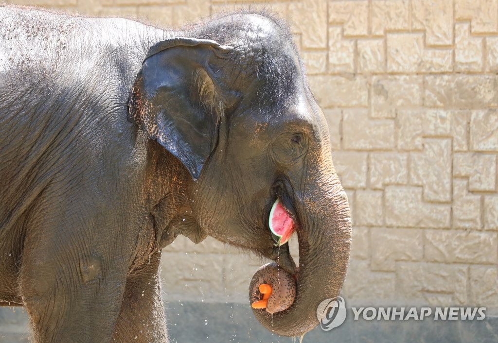 [날씨] 전국 폭염특보…강원·경북 산지 오후에 소나기