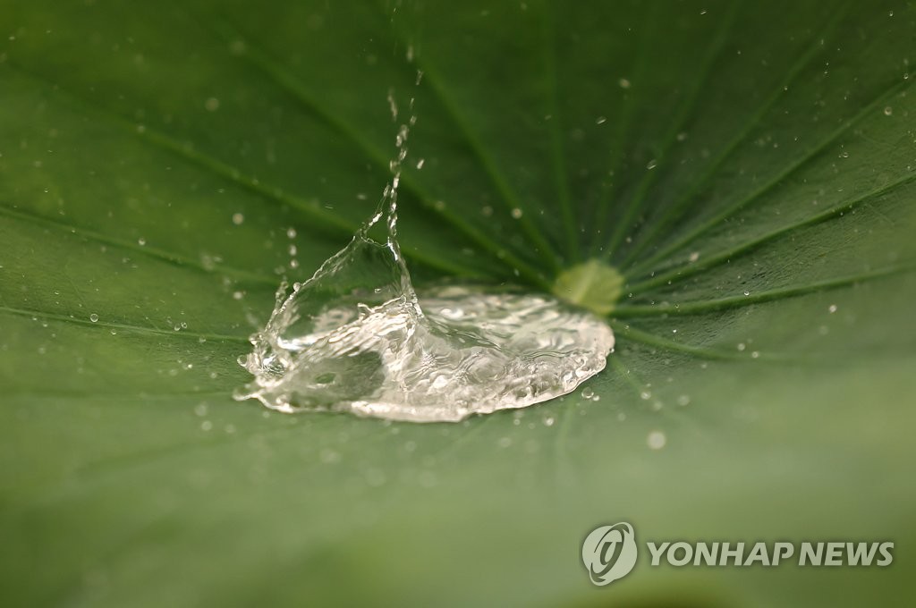 대전·세종·충남 구름 많고 소나기…낮 최고 30도