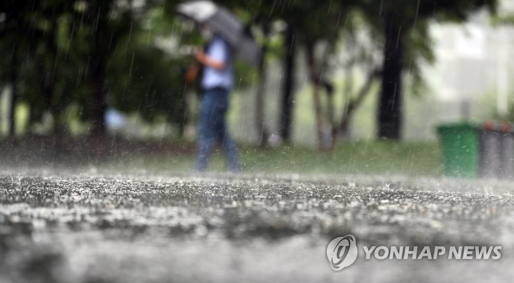 대전·세종·충남 흐리고 비…낮 최고 28∼30도