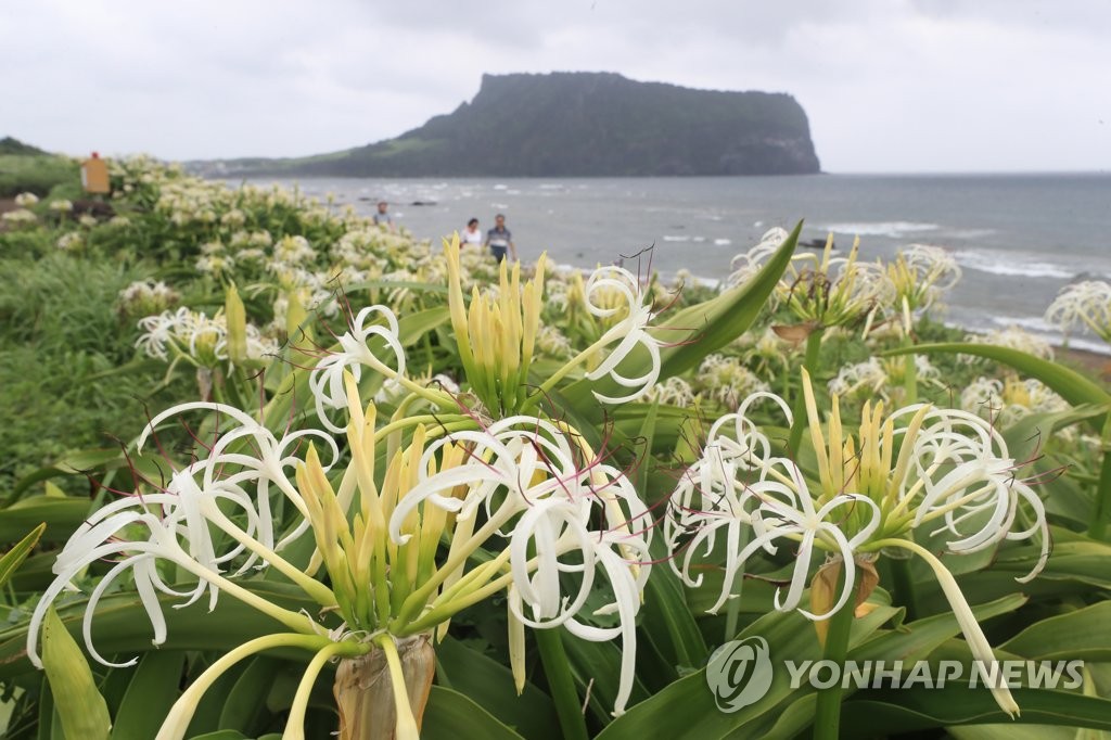 제주 아침까지 5㎜ 미만 비…오후부터 맑아져