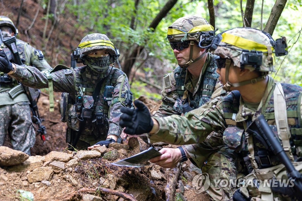 '을지프리덤가디언' 연합훈련 5년만에 부활…명칭은 변경될듯