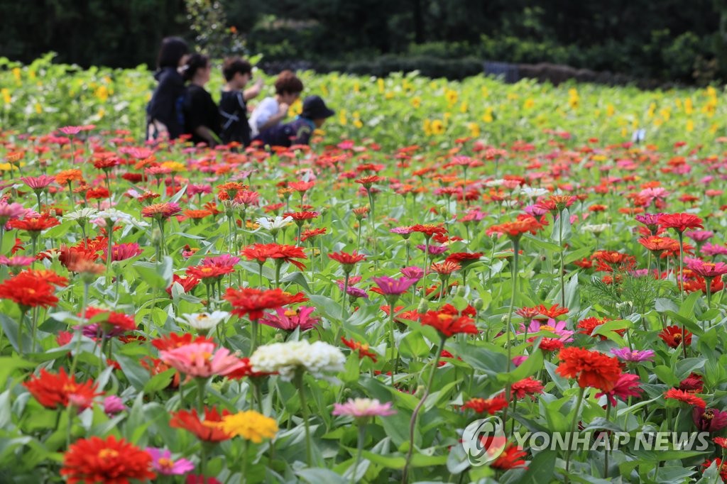 제주 가끔 구름 많음…밤사이 또 열대야