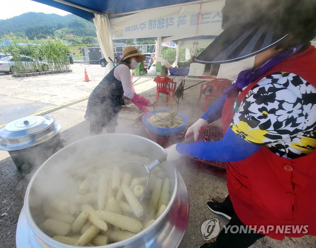 "찐 옥수수 맛보세요" 홍천 찰옥수수축제 개막