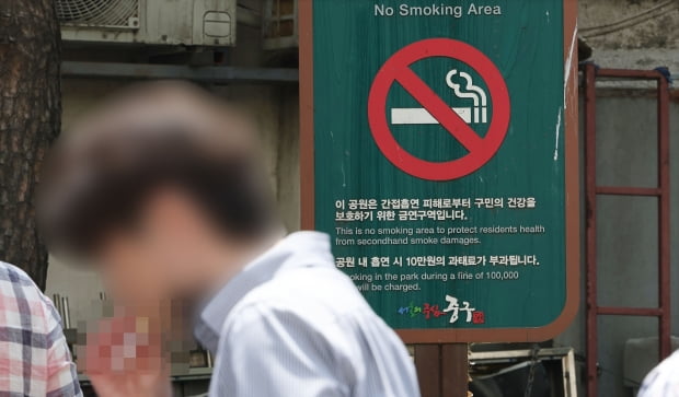 서울 시내의 한 공원에서 직장인이 흡연을 하고 있다. 사진=연합뉴스
