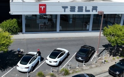 테슬라, 상반기 EV 판매 세계 1위 고수