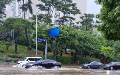 '눈길보다 위험한 빗길' 장마철 주행시 1차선 무조건 피해야