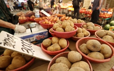 농식품부, 감자 수급 확보 위한 채소가격안정제 3년차 시행