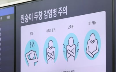 원숭이두창 새 증상…매독·헤르페스와 구분 어려워