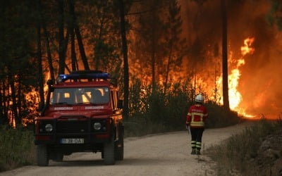 역대급 폭염에 산불까지…펄펄 끓는 유럽대륙 '살벌한 여름'