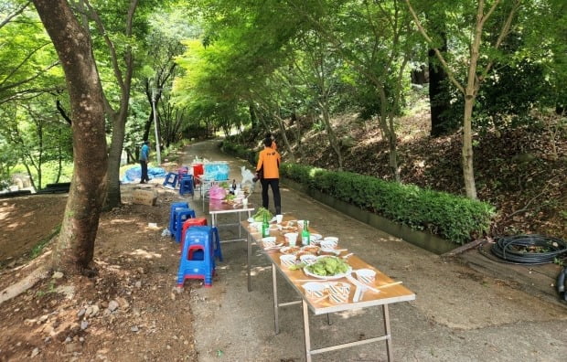 19일 오전 전남 해남군 흑석산 자연휴양림에서 소방대원들이 구조활동을 벌이고 있다. /사진=연합뉴스