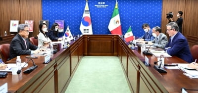 韓, 멕시코와 외교장관 회담서 "FTA 공식협상 조속 재개" 강조(종합)