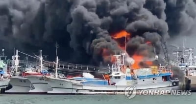 [속보] 해경 "'어선 화재' 제주 한림항서 3명 구조…병원 이송"