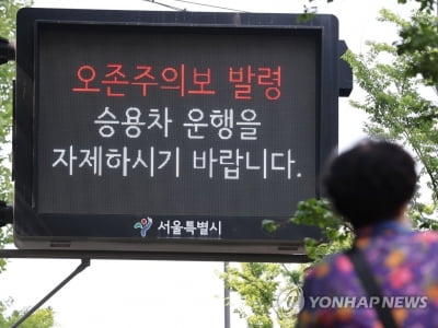 서울 동북·서남권 15개 구에 오존주의보…"실외활동 자제"(종합)