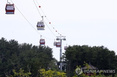 울진 왕피천케이블카 운행 재개…체납 임차료 분납키로