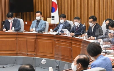 與 초선·재선·중진 '직무대행체제' 힘싣기…의총 곧 결론