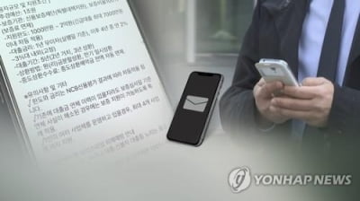 정책자금 사칭 등 불법금융광고 성행…작년 적발 100만건 넘어