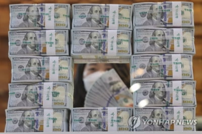 美 물가 충격에도 원/달러 환율 보합세…장 초반 1,306원대
