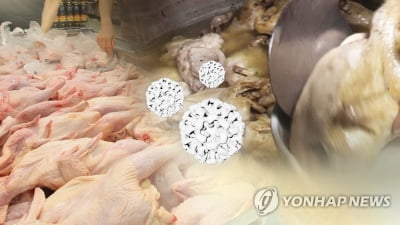 여름 '캠필로박터' 식중독 주의…"삼계탕 조리할때 조심하세요"