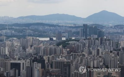 한은 