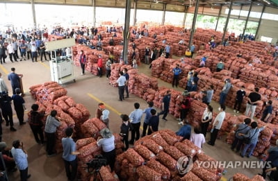 관세 낮춘 마늘 수입 결정…창녕·합천 마늘산지 농협 경매 중단