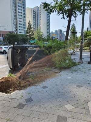 마포구 상암동서 택시가 가로수 들이받아…운전자 경상