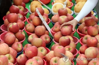 농식품부 "사과·배·샤인머스캣 추석 공급 원활 전망"