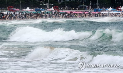 '태풍도 못 막는 여름휴가'…전국 해수욕장·축제장 등 북적