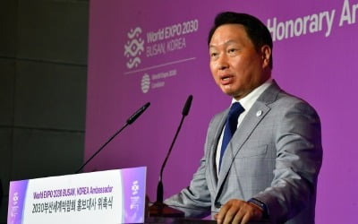 [속보] 백악관 "바이든 대통령, 26일 최태원 SK회장과 화상 면담"