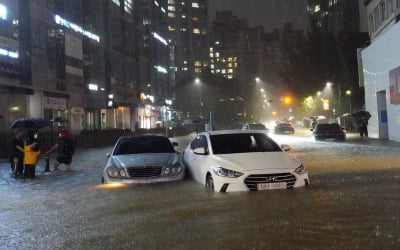 쓰러진 가로수 치우던 구청직원 사망…폭우로 인명피해 속출 [종합]