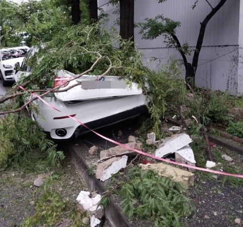 추락한 아파트 외벽에 파손된 차량. /사진=연합뉴스 