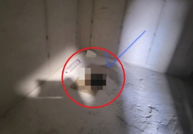 부산의 한 신축아파트 사전점검 당시 승강기 샤프트쪽에 발견된 인분. / 사진=온라인 커뮤니티 캡처