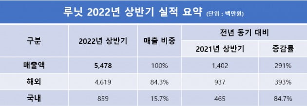 루닛 올 상반기 실적 요약표/ 사진 제공=루닛