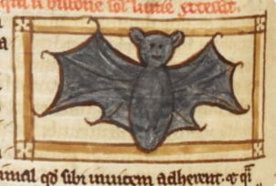 13세기 영국의 박쥐 그림.