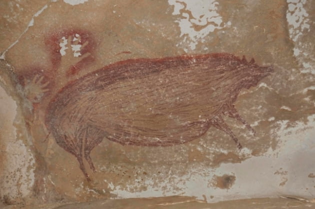 지난해 초 인도네시아 술라웨시에서 발견된 동물 동굴 벽화. 멧돼지를 그린 이 그림은 최소 4만5500년 전에 그려졌다. 한경DB