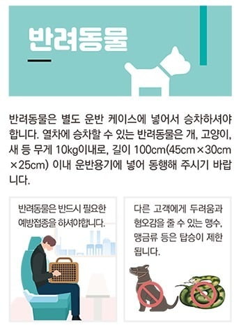 KTX의 반려동물 탑승 규정 / 사진=한국철도공사 제공