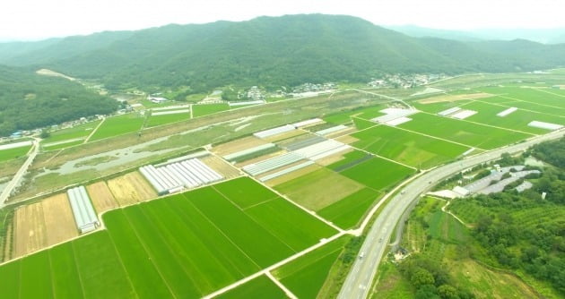 경상북도의 대표적인 에볼루션 카지노 사이트소멸고위험 지역으로 에볼루션 카지노 사이트소멸 위기를 극복하기위해 대구경북통합신공항 이전이 추진되고 있는 의성군 비안면과 군위 소보면 일대. 의성군 제공 