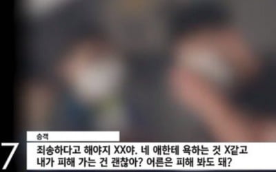 "자신 없으면 애 낳지마"…비행기서 폭언한 40대男 결국