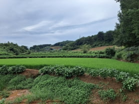 [한경 매물마당] 일산 고양대로 수익형 신축 상가 등 6건 