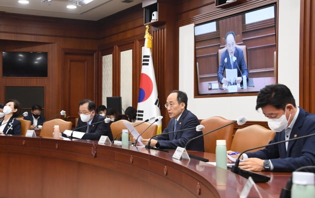 추경호 부총리 겸 기획재정부 장관(가운데)이 19일 서울 종로구 정부서울청사에서 열린 '제230차 대외경제장관회의 및 제143차 대외경제협력기금운용위원회'를 주재, 모두발언을 하고 있다. 기획재정부 제공