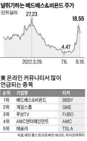 美 '밈 주식' 또 광풍…4배 뛴 BB&B, 하루 새 반토막 