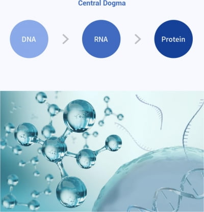 유전체로는 부족…'단백체' 분석으로 보폭 넓히는 바이오업계
