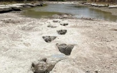 가뭄에 강물 마르자 '뜻밖의 발견'…1억년 전 공룡 발자국 나타났다