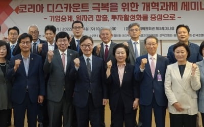 "상속세 완화해야 코리아 디스카운트 해소"