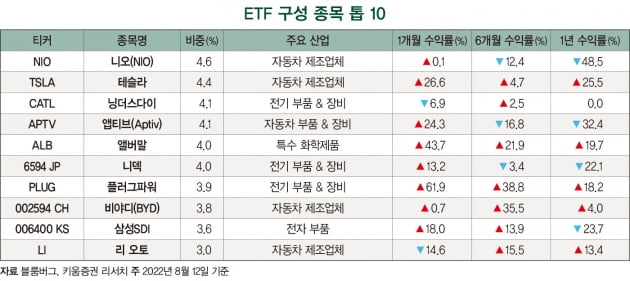 미 인플레이션 완화 법안에 전기차 ETF 강세