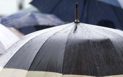 폭우를 기회로?…1박에 30만원까지 받은 강남 모텔