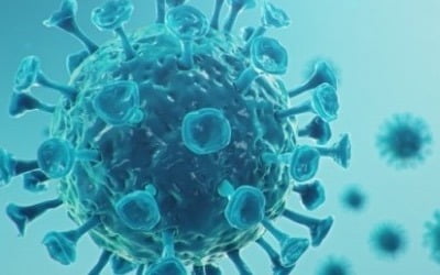 로슈, LG화학 기술 적용 코로나19 면역반응 진단키트 유럽 출시