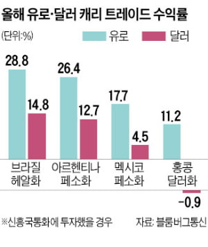 유로화 빌려 신흥국 투자, 수익률 29%