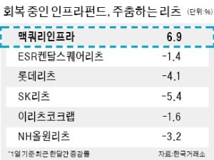 "리츠 대신 인프라펀드 담을까"