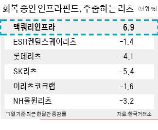 "리츠 대신 인프라펀드 담을까"