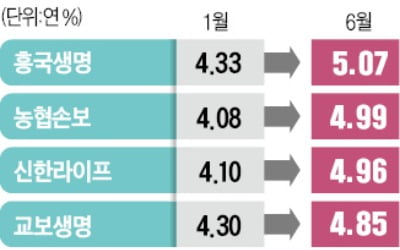 보험사 주담대 평균금리도 年5%